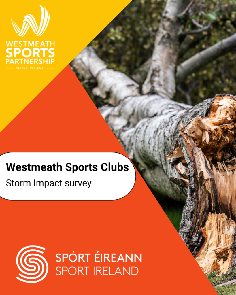 Storm survey cover image with orange and yellow triangles on left hand side beside image of fallen tree